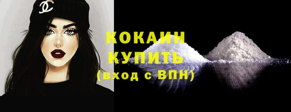 прущие грибы Бородино