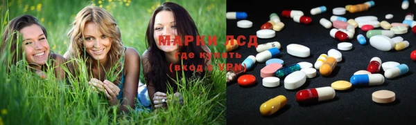 прущие грибы Бородино