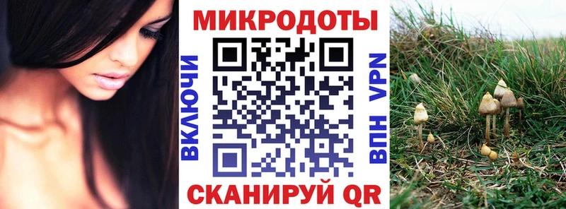 Галлюциногенные грибы Psilocybe  Афипский 