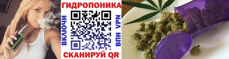 Каннабис планчик Афипский